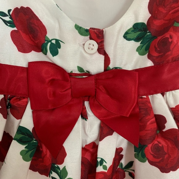 NWT Gymboree Red Rose Floral Dress 6-12 months - Picture 5 of 6